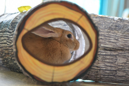 Tree Pattern Tunnel Pet Zhiyi